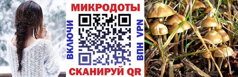 дарнет шоп  Кыштым  KRAKEN ссылки  Галлюциногенные грибы ЛСД 